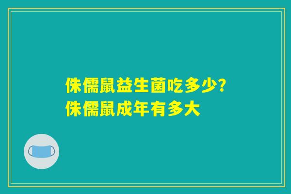 侏儒鼠益生菌吃多少?侏儒鼠成年有多大 侏儒鼠益生菌吃多少?侏儒鼠成年有多大