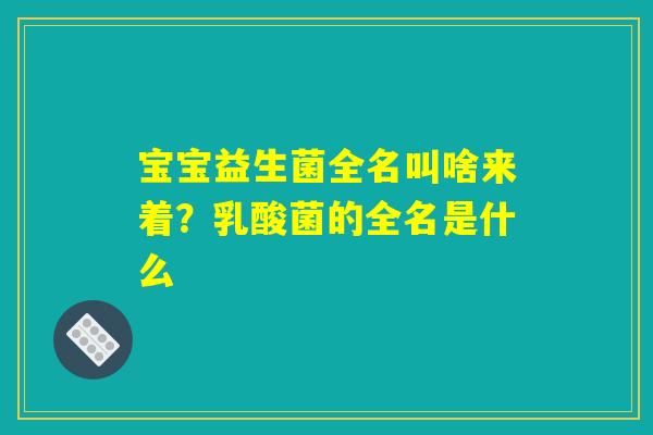 宝宝益生菌全名叫啥来着？乳酸菌的全名是什么