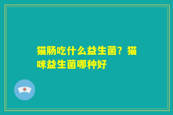 猫肠吃什么益生菌？猫咪益生菌哪种好