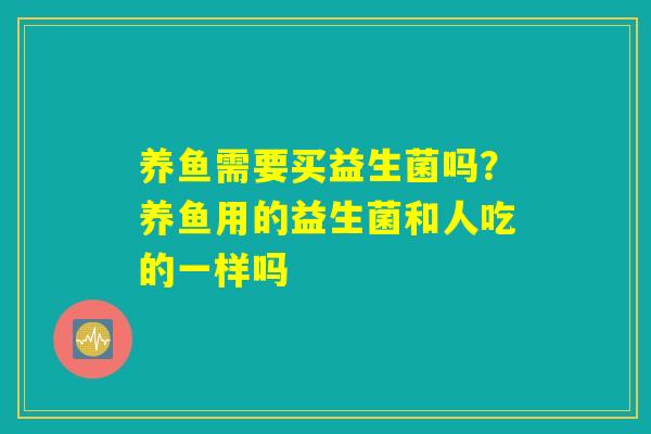 养鱼需要买益生菌吗?养鱼用的益生菌和人吃的一样吗 养鱼需要买益生菌吗?养鱼用的益生菌和人吃的一样吗