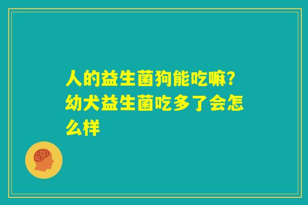人的益生菌狗能吃嘛?幼犬益生菌吃多了会怎么样 人的益生菌狗能吃嘛?幼犬益生菌吃多了会怎么样