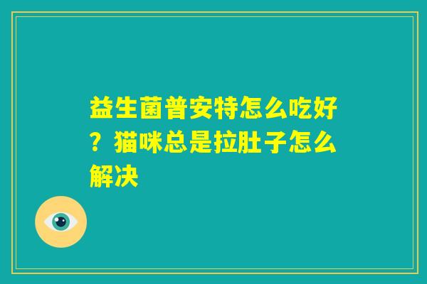 益生菌普安特怎么吃好?猫咪总是拉肚子怎么解决 益生菌普安特怎么吃好?猫咪总是拉肚子怎么解决