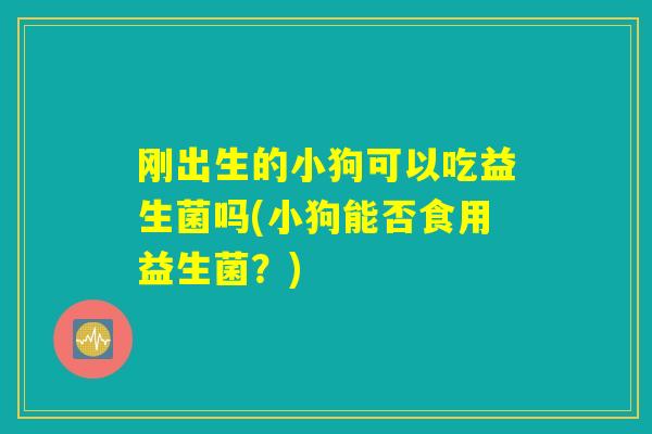 刚出生的小狗可以吃益生菌吗(小狗能否食用益生菌?) 刚出生的小狗可以吃益生菌吗(小狗能否食用益生菌?)