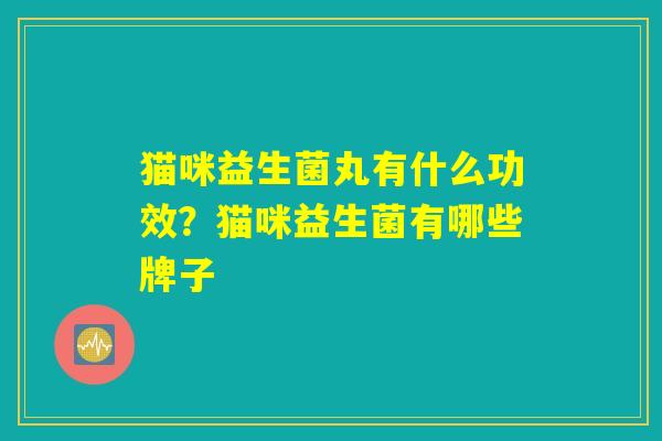 猫咪益生菌丸有什么功效？猫咪益生菌有哪些牌子