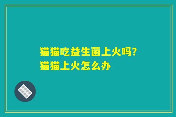 猫猫吃益生菌上火吗？猫猫上火怎么办