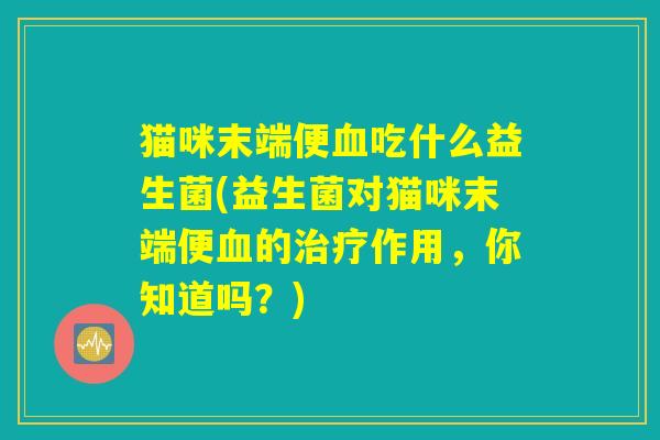猫咪末端便血吃什么益生菌(益生菌对猫咪末端便血的治疗作用，你知道吗？)