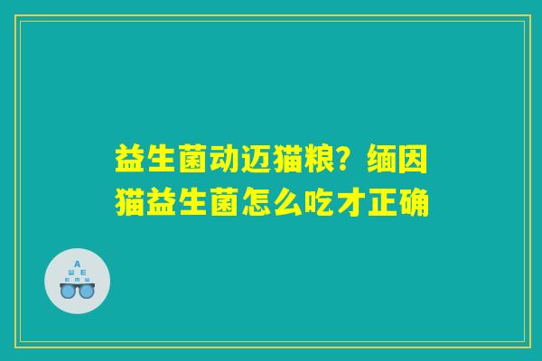 益生菌动迈猫粮？缅因猫益生菌怎么吃才正确