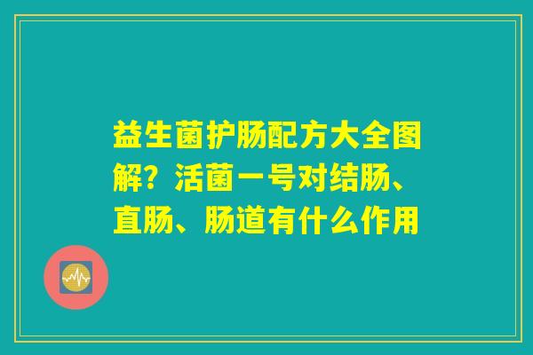 益生菌护肠配方大全图解?活菌一号对结肠、直肠、肠道有什么作用 益生菌护肠配方大全图解?活菌一号对结肠、直肠、肠道有什么作用
