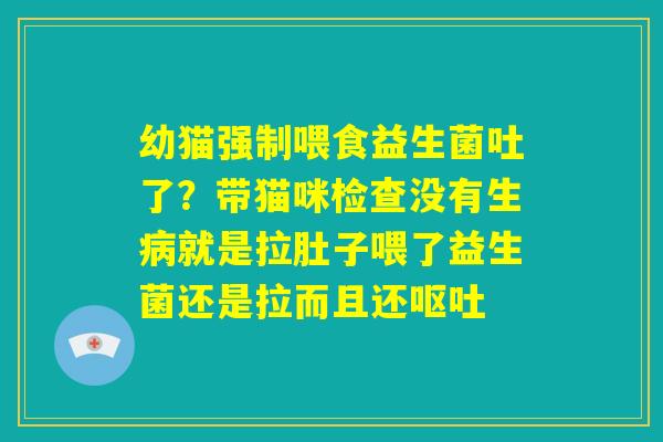 幼猫强制喂食益生菌吐了?带猫咪检查没有生病就是拉肚子喂了益生菌还是拉而且还呕吐 幼猫强制喂食益生菌吐了?带猫咪检查没有生病就是拉肚子喂了益生菌还是拉而且还呕吐