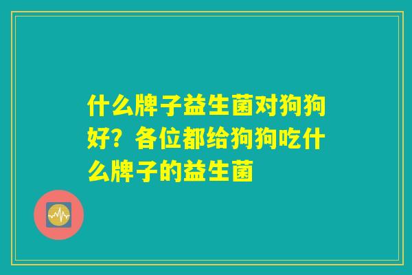 什么牌子益生菌对狗狗好？各位都给狗狗吃什么牌子的益生菌