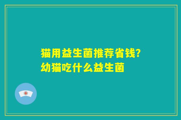 猫用益生菌推荐省钱?幼猫吃什么益生菌 猫用益生菌推荐省钱?幼猫吃什么益生菌