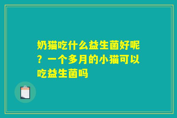 奶猫吃什么益生菌好呢?一个多月的小猫可以吃益生菌吗 奶猫吃什么益生菌好呢?一个多月的小猫可以吃益生菌吗