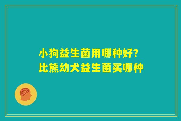 小狗益生菌用哪种好?比熊幼犬益生菌买哪种 小狗益生菌用哪种好?比熊幼犬益生菌买哪种
