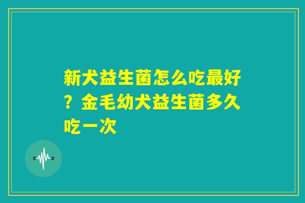 新犬益生菌怎么吃最好?金毛幼犬益生菌多久吃一次 新犬益生菌怎么吃最好?金毛幼犬益生菌多久吃一次