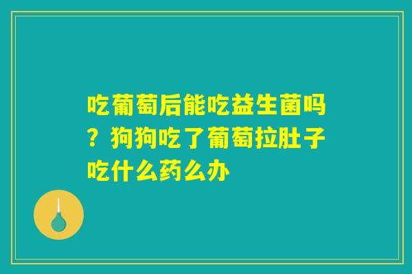 吃葡萄后能吃益生菌吗?狗狗吃了葡萄拉肚子吃什么药么办 吃葡萄后能吃益生菌吗?狗狗吃了葡萄拉肚子吃什么药么办