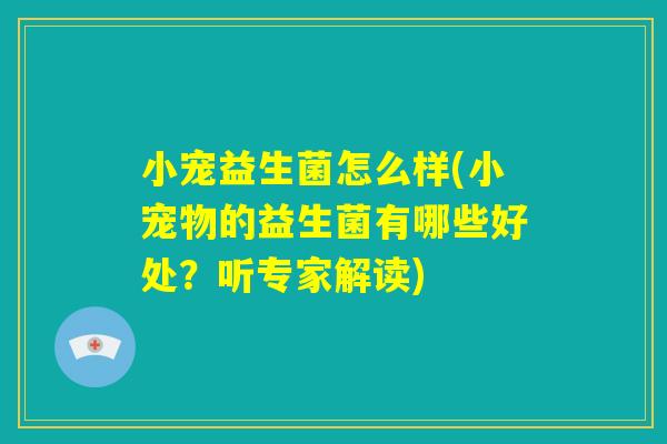 小宠益生菌怎么样(小宠物的益生菌有哪些好处?听专家解读) 小宠益生菌怎么样(小宠物的益生菌有哪些好处?听专家解读)
