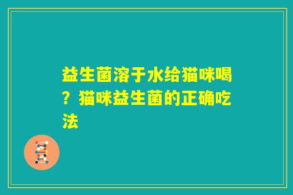 益生菌溶于水给猫咪喝?猫咪益生菌的正确吃法 益生菌溶于水给猫咪喝?猫咪益生菌的正确吃法