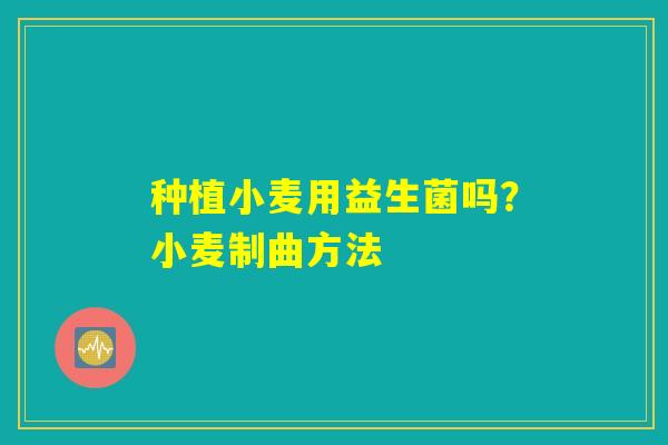种植小麦用益生菌吗?小麦制曲方法 种植小麦用益生菌吗?小麦制曲方法