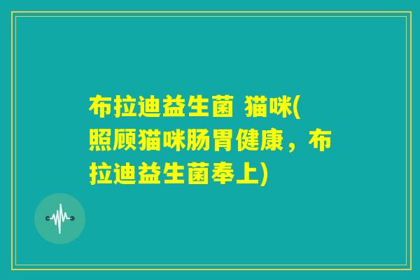 布拉迪益生菌 猫咪(照顾猫咪肠胃健康,布拉迪益生菌奉上) 布拉迪益生菌 猫咪(照顾猫咪肠胃健康,布拉迪益生菌奉上)