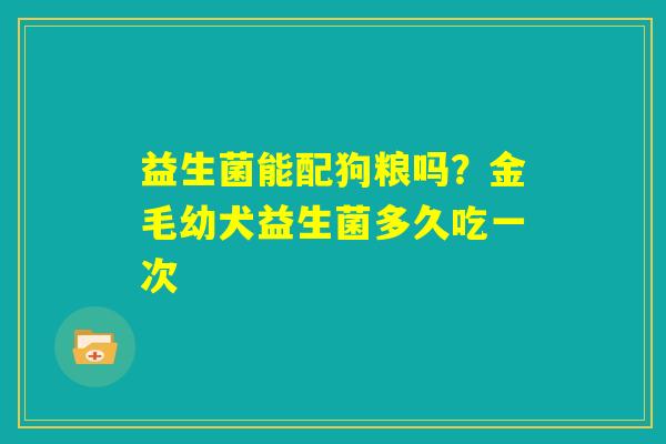 益生菌能配狗粮吗?金毛幼犬益生菌多久吃一次 益生菌能配狗粮吗?金毛幼犬益生菌多久吃一次