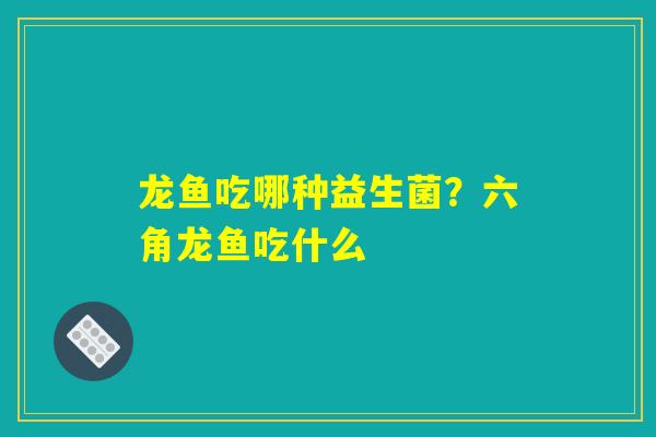 龙鱼吃哪种益生菌？六角龙鱼吃什么