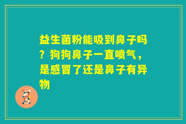 益生菌粉能吸到鼻子吗？狗狗鼻子一直喷气，是感冒了还是鼻子有异物