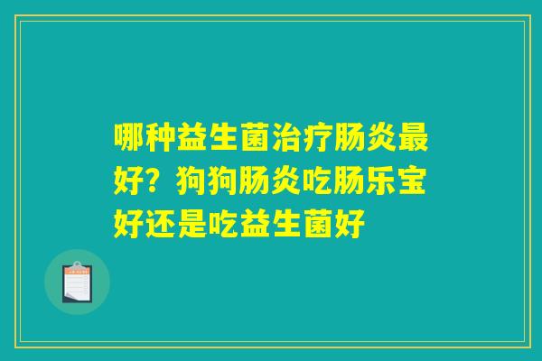 哪种益生菌治疗肠炎最好？狗狗肠炎吃肠乐宝好还是吃益生菌好