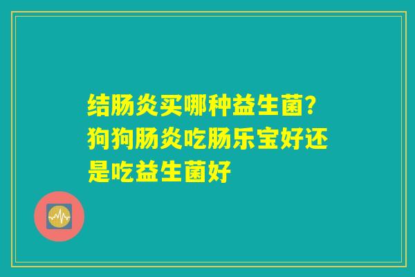 结肠炎买哪种益生菌?狗狗肠炎吃肠乐宝好还是吃益生菌好 结肠炎买哪种益生菌?狗狗肠炎吃肠乐宝好还是吃益生菌好