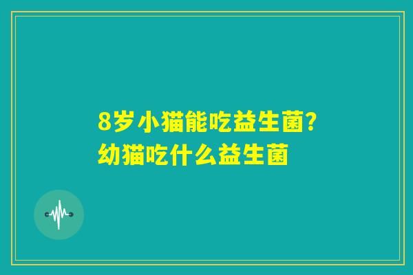 8岁小猫能吃益生菌？幼猫吃什么益生菌