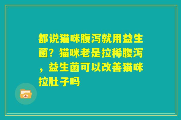 都说猫咪腹泻就用益生菌？猫咪老是拉稀腹泻，益生菌可以改善猫咪拉肚子吗