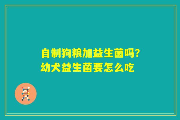 自制狗粮加益生菌吗?幼犬益生菌要怎么吃 自制狗粮加益生菌吗?幼犬益生菌要怎么吃