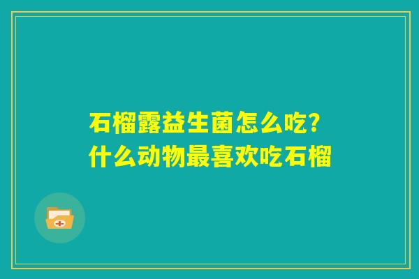 石榴露益生菌怎么吃?什么动物最喜欢吃石榴 石榴露益生菌怎么吃?什么动物最喜欢吃石榴
