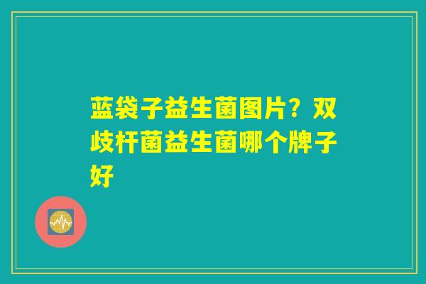 蓝袋子益生菌图片?双歧杆菌益生菌哪个牌子好 蓝袋子益生菌图片?双歧杆菌益生菌哪个牌子好