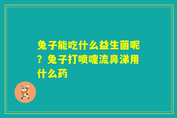 兔子能吃什么益生菌呢?兔子打喷嚏流鼻涕用什么药 兔子能吃什么益生菌呢?兔子打喷嚏流鼻涕用什么药