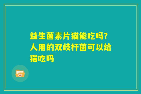 益生菌素片猫能吃吗?人用的双歧杆菌可以给猫吃吗 益生菌素片猫能吃吗?人用的双歧杆菌可以给猫吃吗