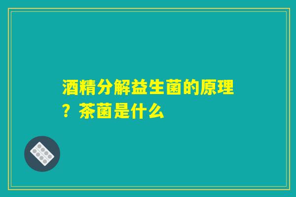 酒精分解益生菌的原理?茶菌是什么 酒精分解益生菌的原理?茶菌是什么
