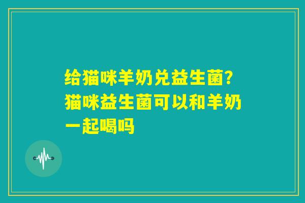 给猫咪羊奶兑益生菌?猫咪益生菌可以和羊奶一起喝吗 给猫咪羊奶兑益生菌?猫咪益生菌可以和羊奶一起喝吗