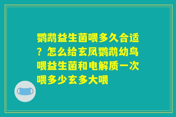 鹦鹉益生菌喂多久合适？怎么给玄凤鹦鹉幼鸟喂益生菌和电解质一次喂多少玄多大喂