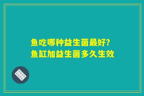 鱼吃哪种益生菌最好?鱼缸加益生菌多久生效 鱼吃哪种益生菌最好?鱼缸加益生菌多久生效