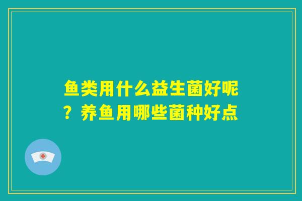鱼类用什么益生菌好呢?养鱼用哪些菌种好点 鱼类用什么益生菌好呢?养鱼用哪些菌种好点