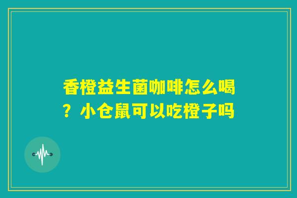 香橙益生菌咖啡怎么喝？小仓鼠可以吃橙子吗