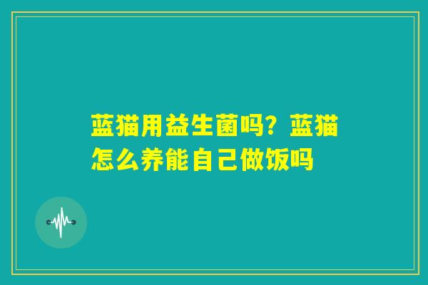 蓝猫用益生菌吗?蓝猫怎么养能自己做饭吗 蓝猫用益生菌吗?蓝猫怎么养能自己做饭吗