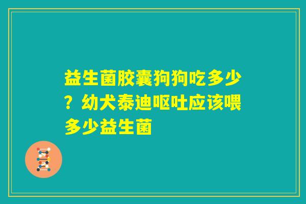 益生菌胶囊狗狗吃多少？幼犬泰迪呕吐应该喂多少益生菌