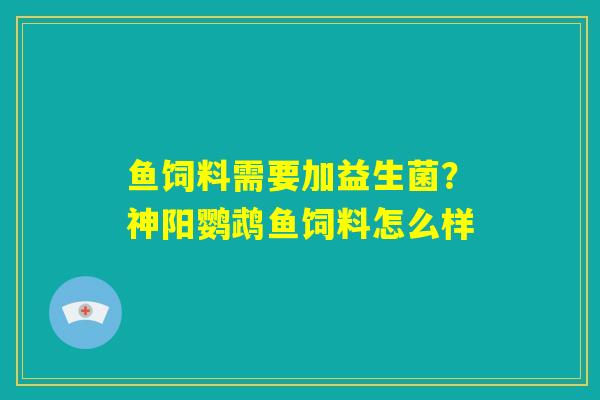 鱼饲料需要加益生菌？神阳鹦鹉鱼饲料怎么样
