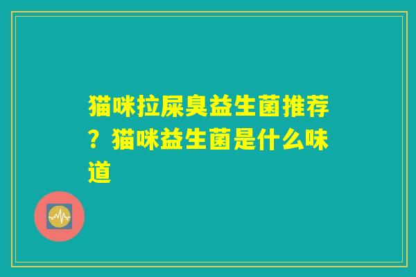 猫咪拉屎臭益生菌推荐？猫咪益生菌是什么味道