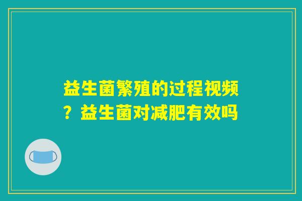 益生菌繁殖的过程视频？益生菌对减肥有效吗