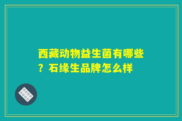 西藏动物益生菌有哪些？石缘生品牌怎么样