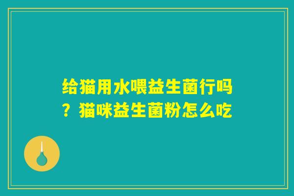 给猫用水喂益生菌行吗？猫咪益生菌粉怎么吃