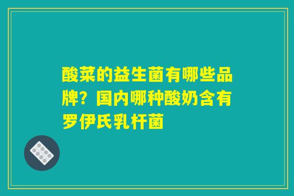 酸菜的益生菌有哪些品牌？国内哪种酸奶含有罗伊氏乳杆菌