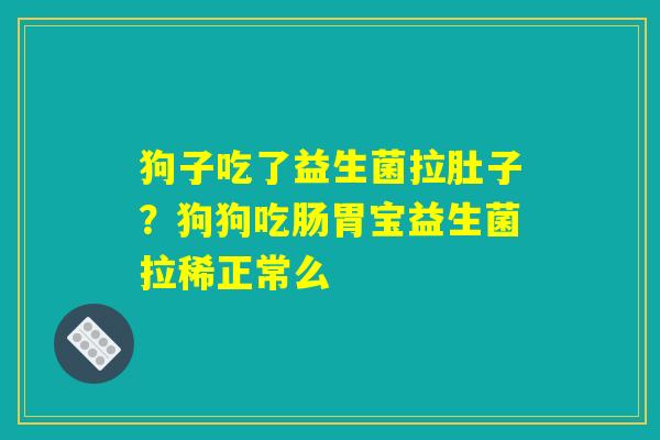 狗子吃了益生菌拉肚子?狗狗吃肠胃宝益生菌拉稀正常么 狗子吃了益生菌拉肚子?狗狗吃肠胃宝益生菌拉稀正常么
